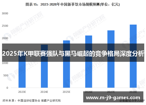 2025年K甲联赛强队与黑马崛起的竞争格局深度分析
