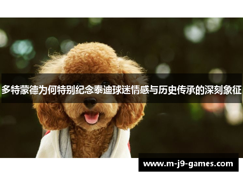 多特蒙德为何特别纪念泰迪球迷情感与历史传承的深刻象征