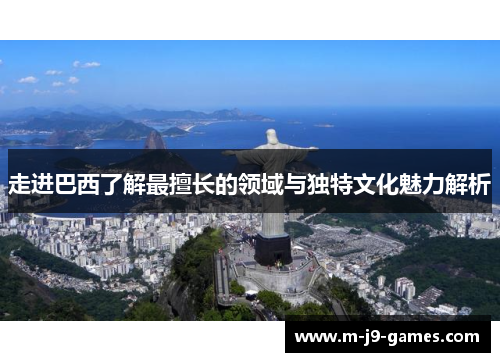 走进巴西了解最擅长的领域与独特文化魅力解析