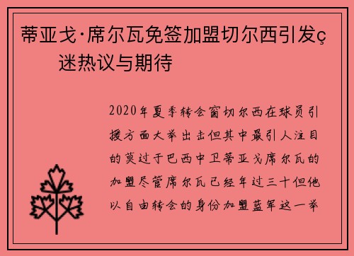 蒂亚戈·席尔瓦免签加盟切尔西引发球迷热议与期待